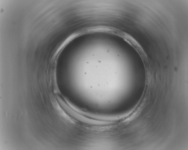 X0000065240860200602242023