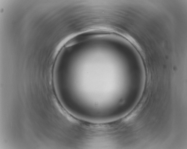 X0000065240862200602242023