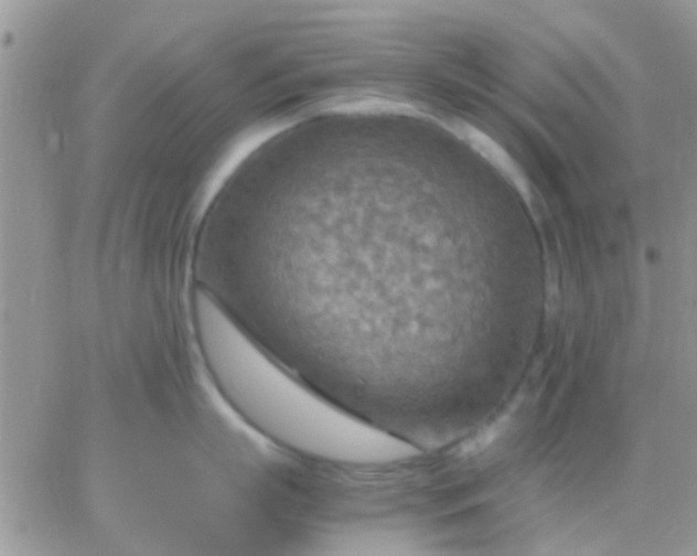 X0000065240863200602242023