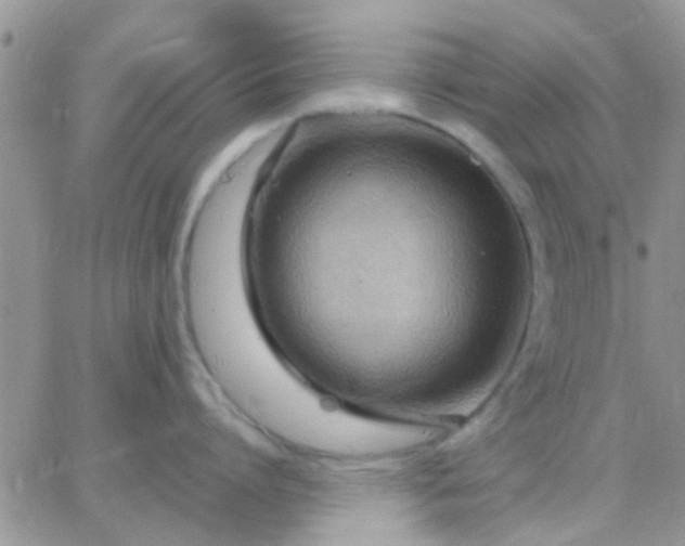 X0000065240864200602242023