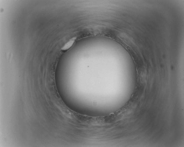 X0000065240865200602242022