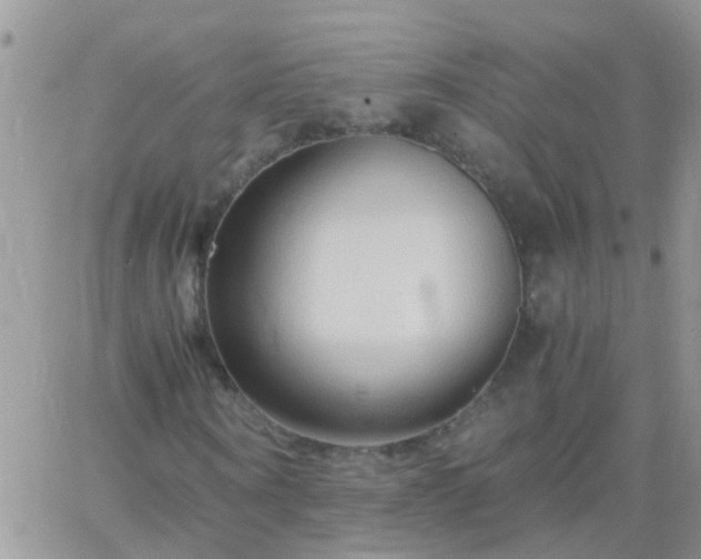 X0000065240866200602242022