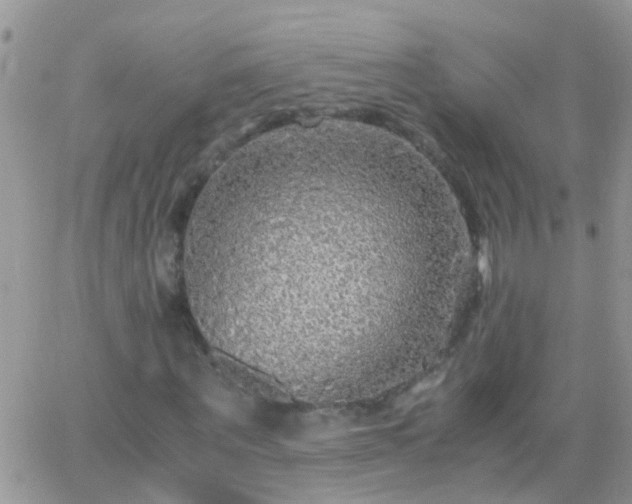 X0000065240867200602242022