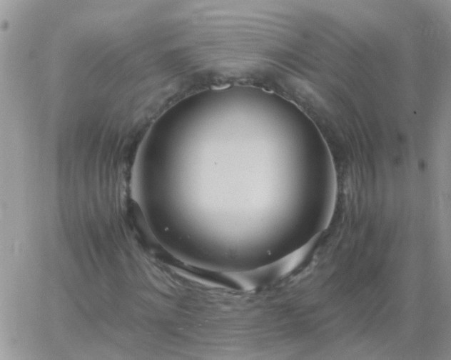 X0000065240868200602242022