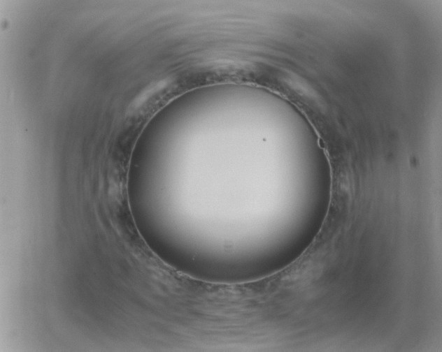 X0000065240869200602242022