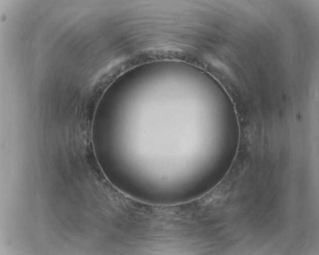 X0000065240870200602242022