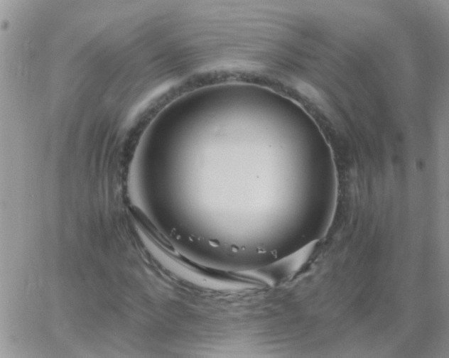 X0000065240872200602242022