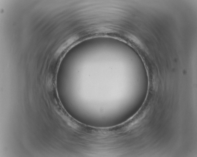 X0000065240873200602242022