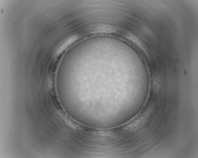 X0000065240874200602242022