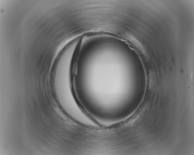 X0000065240876200602242022