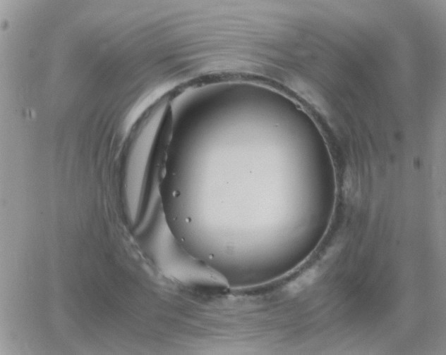 X0000065240877200602242022