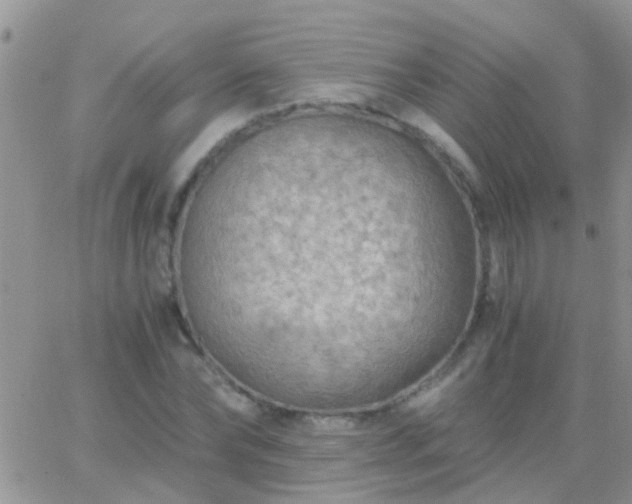 X0000065240878200602242022