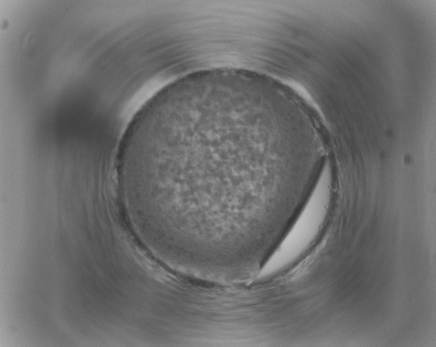 X0000065240879200602242022