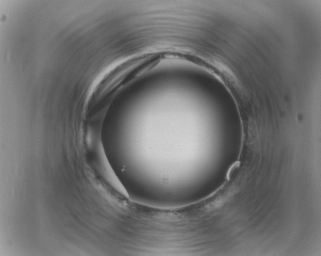 X0000065240880200602242022