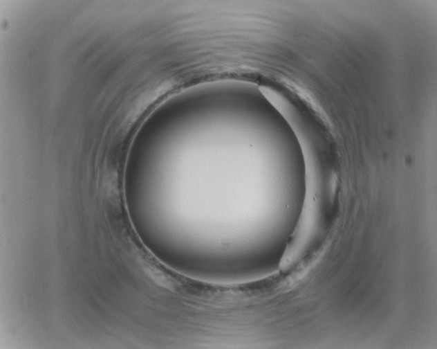 X0000065240881200602242022