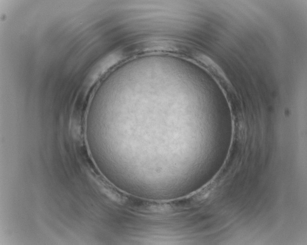 X0000065240882200602242022