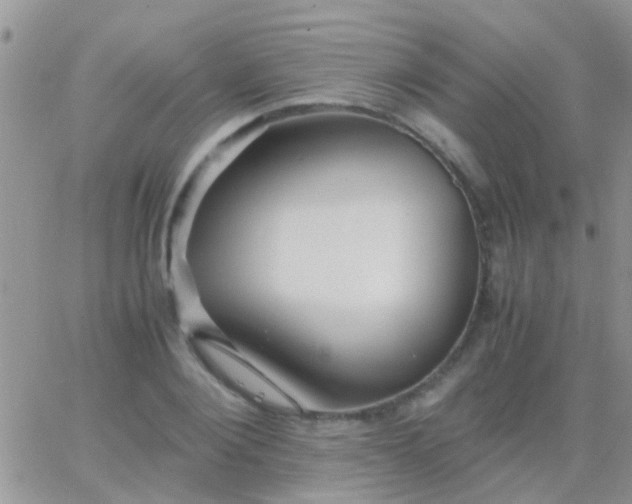 X0000065240884200602242022