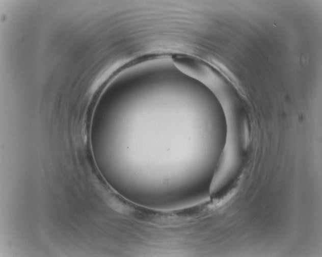 X0000065240885200602242022