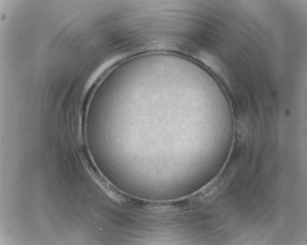 X0000065240886200602242022