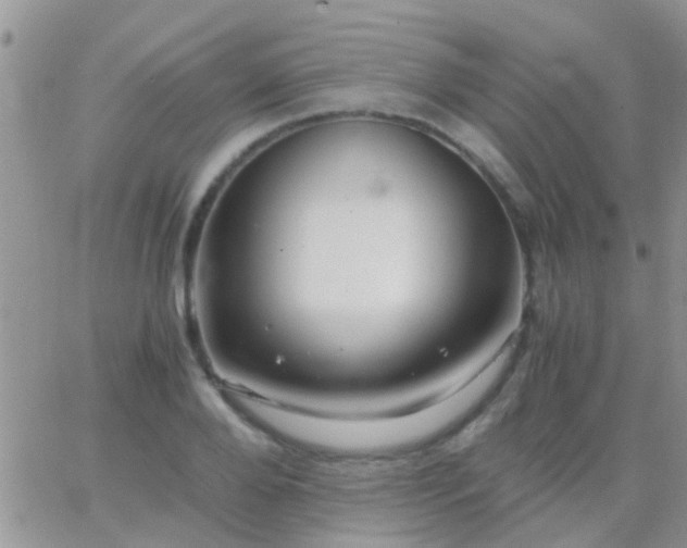 X0000065240888200602242022