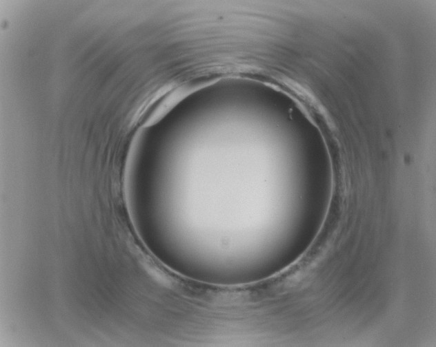 X0000065240889200602242022