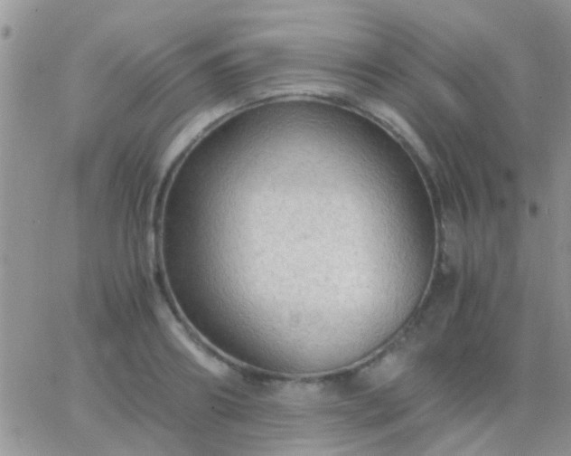 X0000065240890200602242022