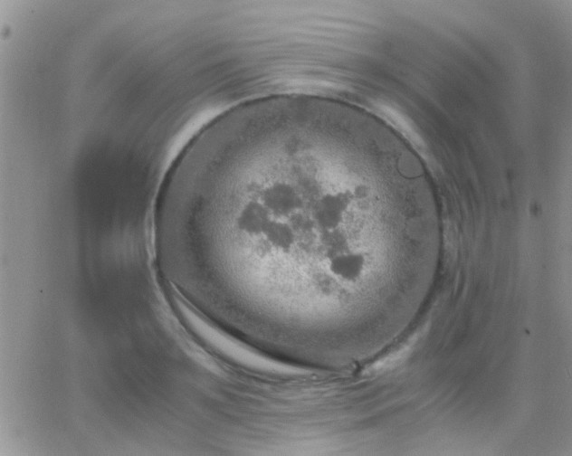 X0000065240891200602242022