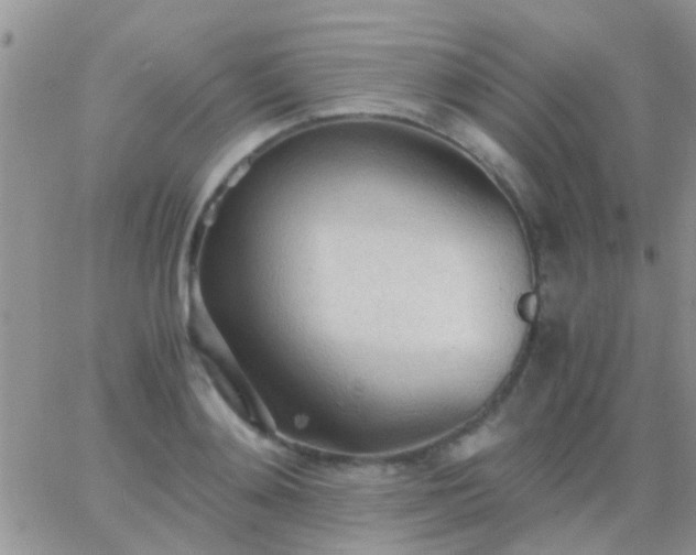 X0000065240892200602242022