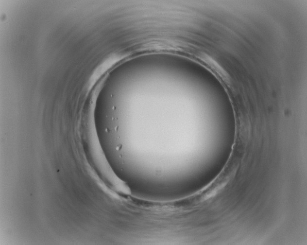 X0000065240893200602242022