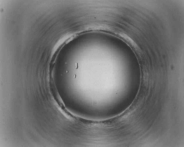 X0000065240894200602242022