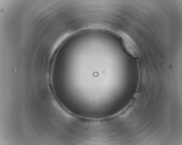 X0000065240896200602242022