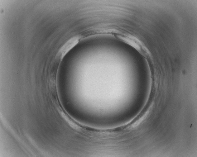 X0000065240897200602242022