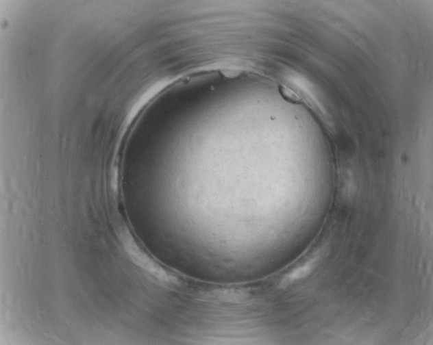 X0000065240900200602242021