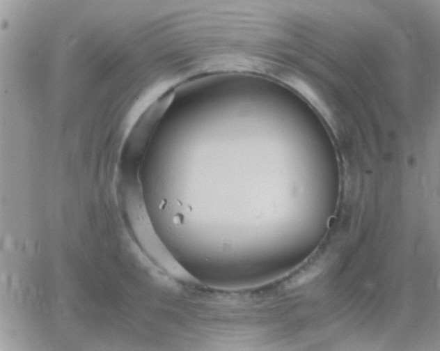 X0000065240901200602242021