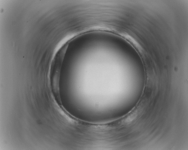 X0000065240902200602242021