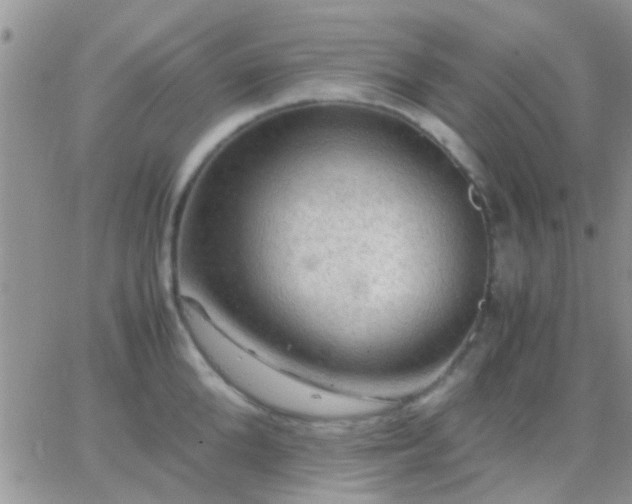 X0000065240904200602242021