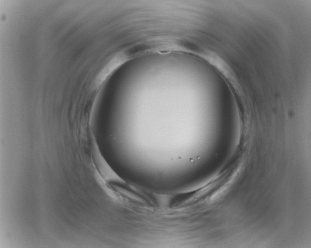 X0000065240905200602242021