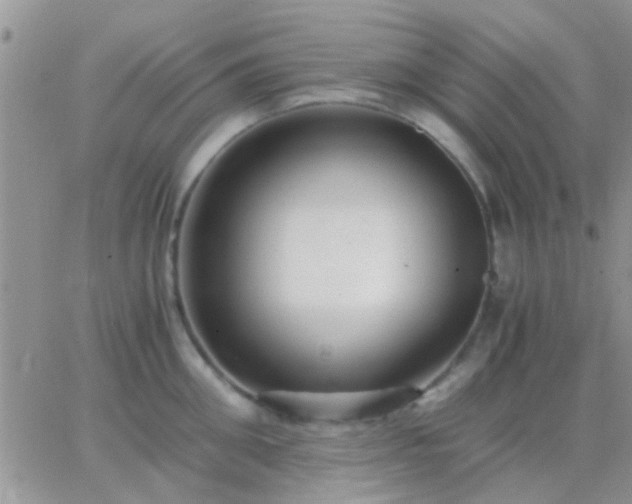 X0000065240906200602242021