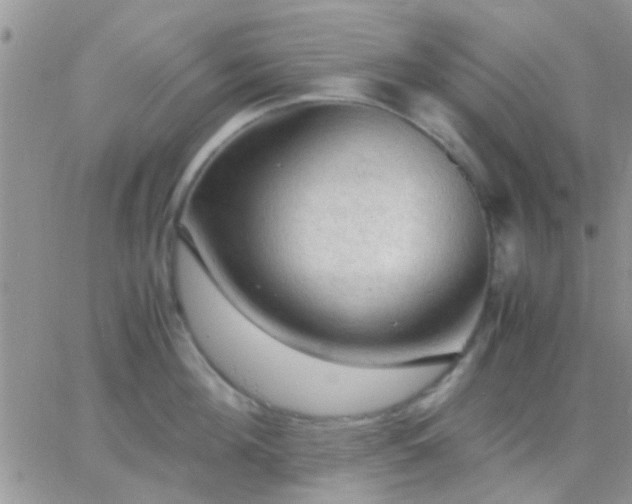 X0000065240908200602242021