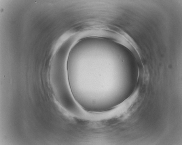 X0000065240909200602242021