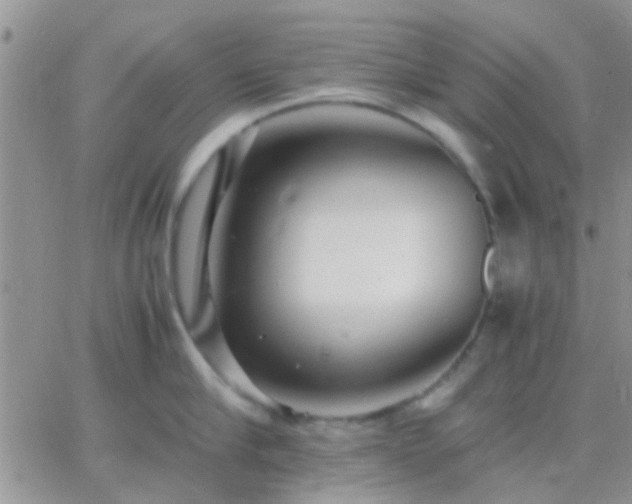 X0000065240910200602242021