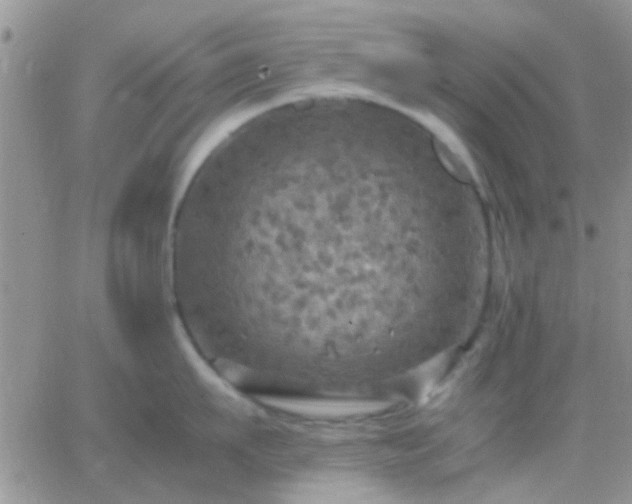 X0000065240911200602242021