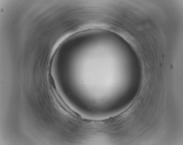 X0000065240912200602242021