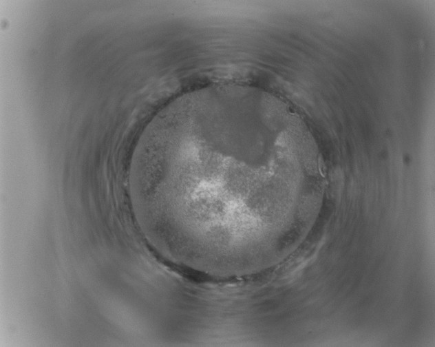 X0000065240913200602242020