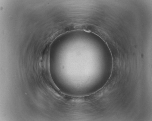 X0000065240914200602242021