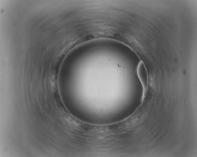 X0000065240915200602242021