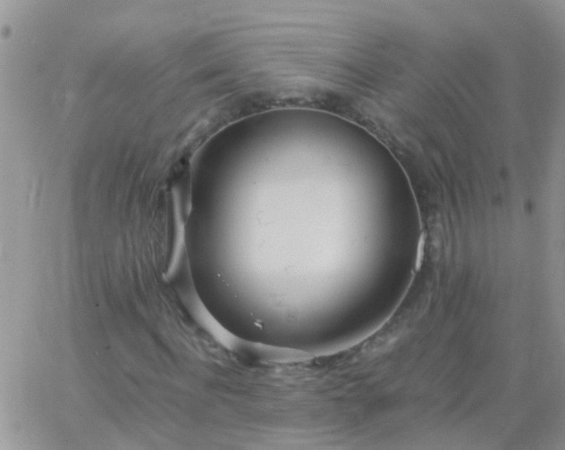 X0000065240916200602242021