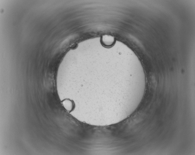 X0000065240918200602242021