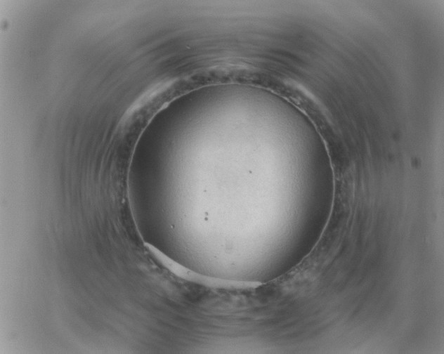 X0000065240919200602242021