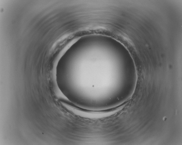 X0000065240920200602242021